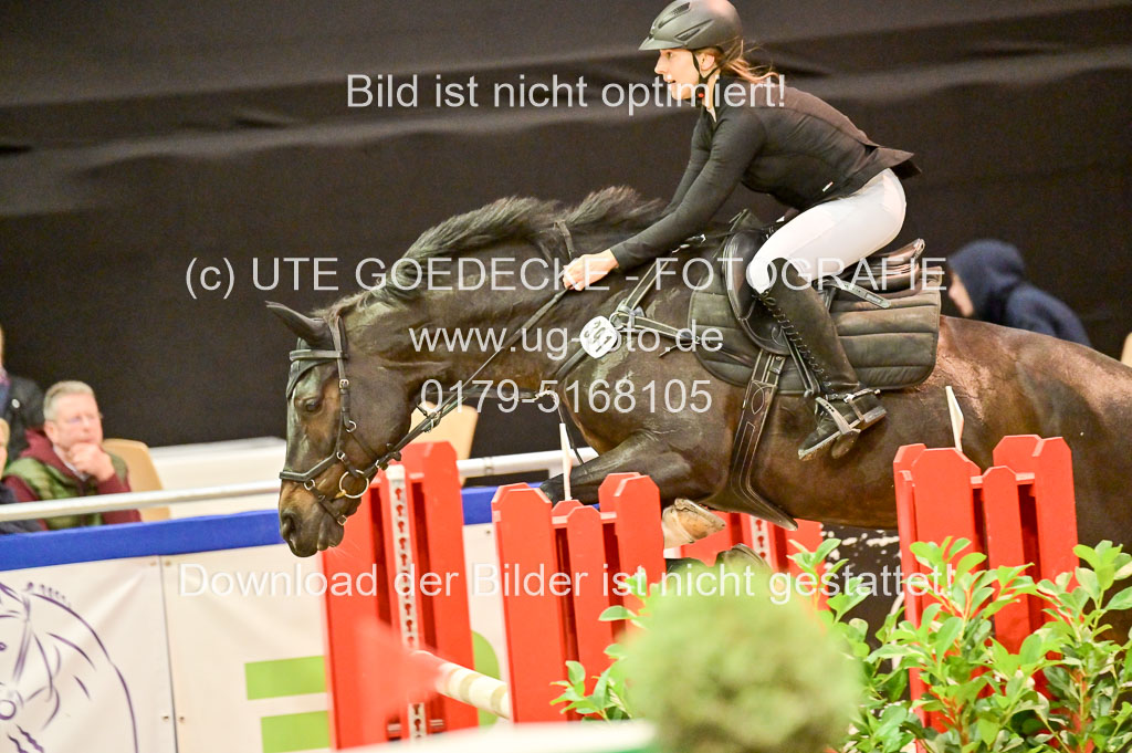  | Pfg 3 Bronze Grand Prix_418 