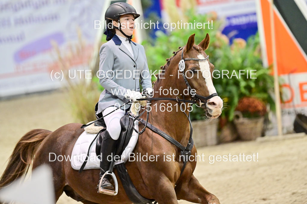  | Pfg 3 Bronze Grand Prix_444 