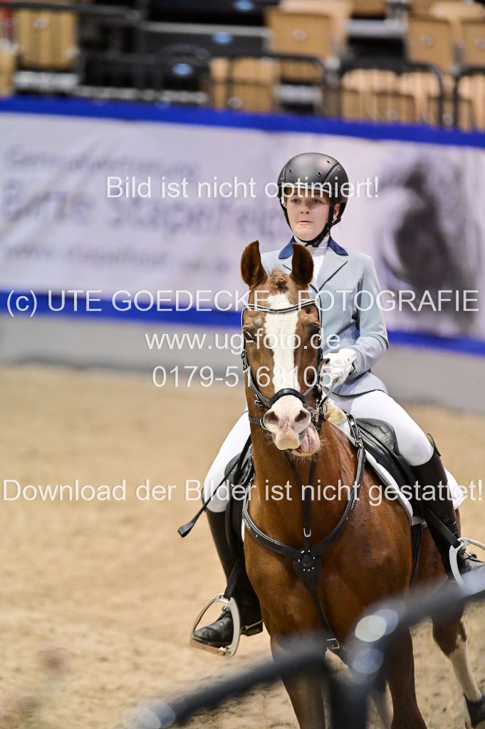  | Pfg 3 Bronze Grand Prix_445 