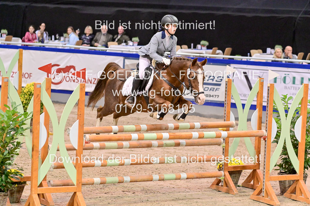  | Pfg 3 Bronze Grand Prix_450 