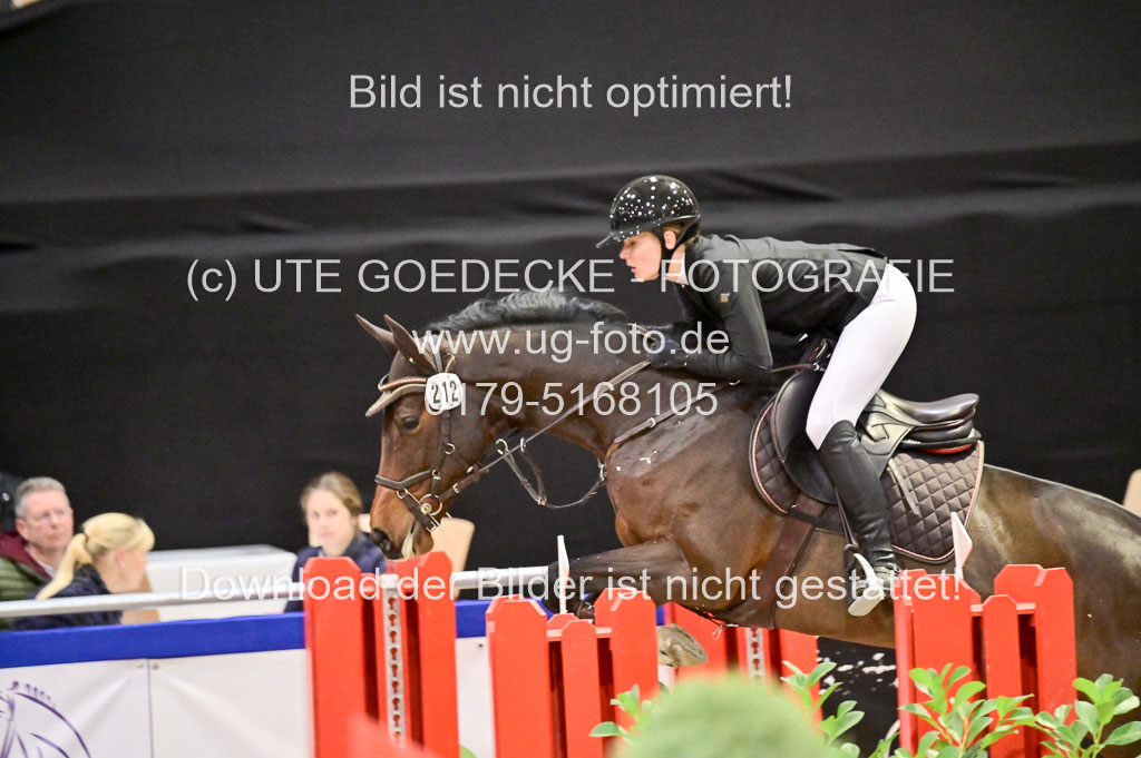  | Pfg 3 Bronze Grand Prix_459 