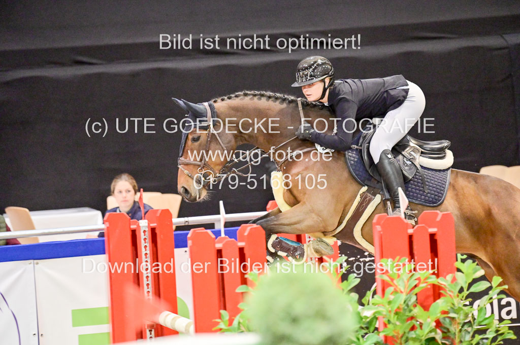  | Pfg 3 Bronze Grand Prix_471 