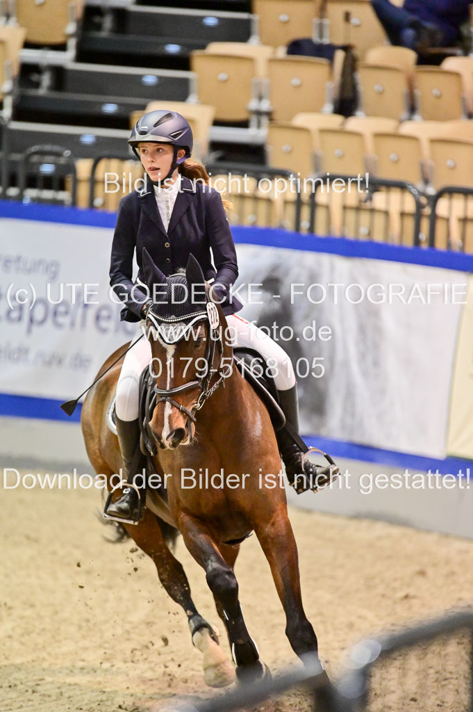  | Pfg 3 Bronze Grand Prix_476 