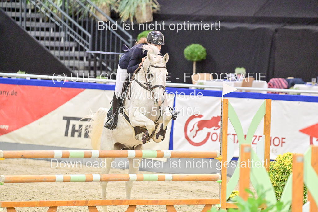  | Pfg 3 Bronze Grand Prix_490 