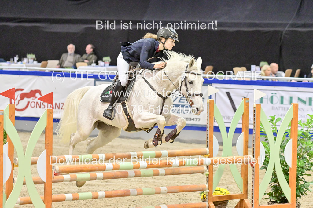  | Pfg 3 Bronze Grand Prix_493 