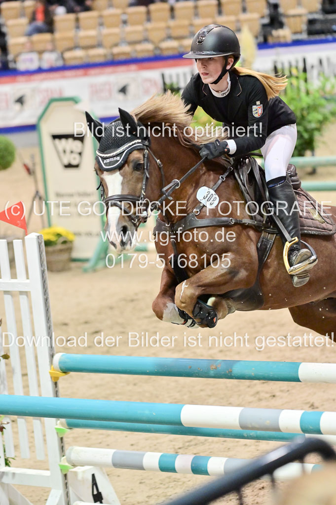  | Pfg 3 Bronze Grand Prix_512 