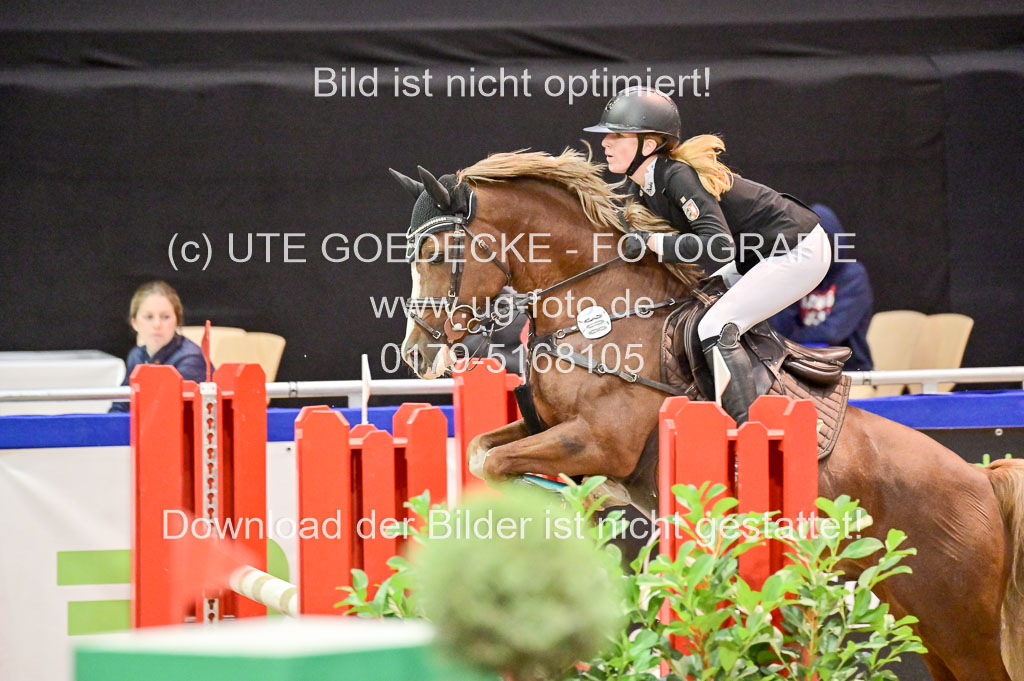  | Pfg 3 Bronze Grand Prix_519 