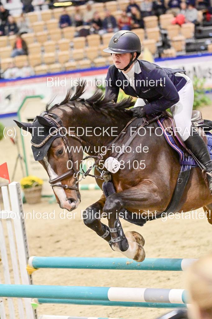  | Pfg 3 Bronze Grand Prix_528 