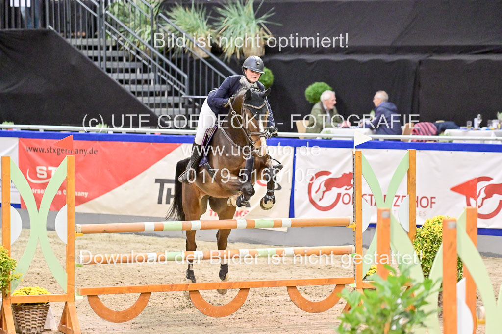  | Pfg 3 Bronze Grand Prix_529 