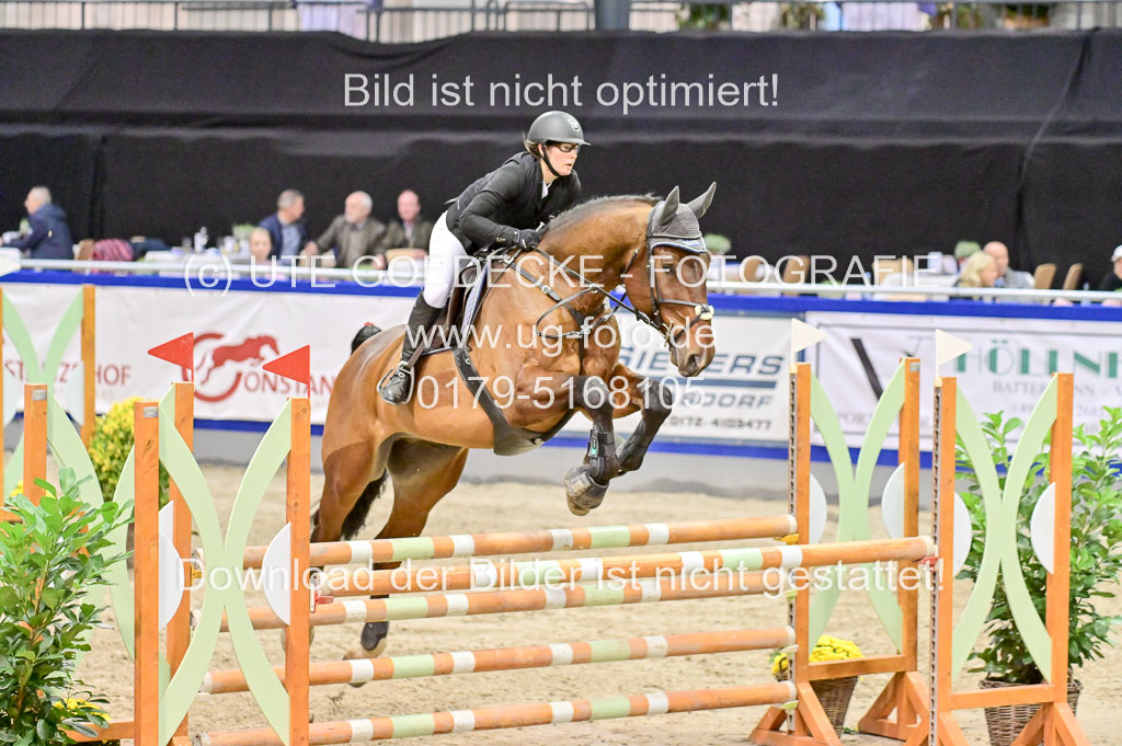  | Pfg 3 Bronze Grand Prix_547 