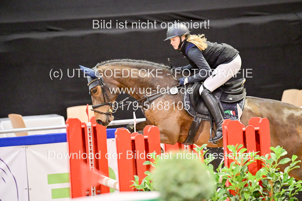  | Pfg 3 Bronze Grand Prix_583 