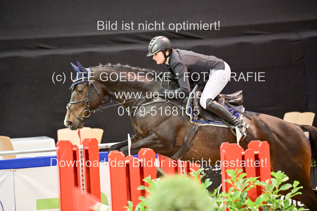  | Pfg 3 Bronze Grand Prix_589 