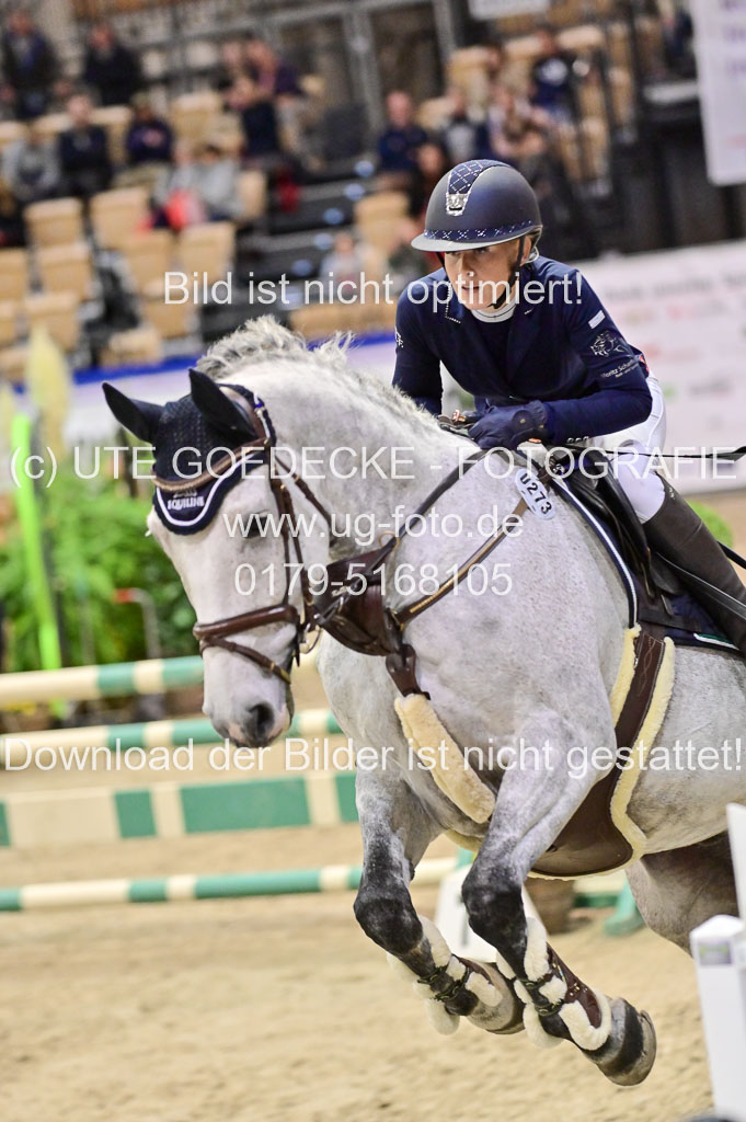  | Pfg 3 Bronze Grand Prix_595 