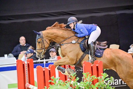  | Pfg 3 Bronze Grand Prix_031 