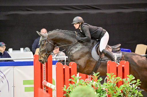  | Pfg 3 Bronze Grand Prix_076 