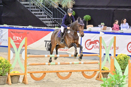 Pfg 3 Bronze Grand Prix
