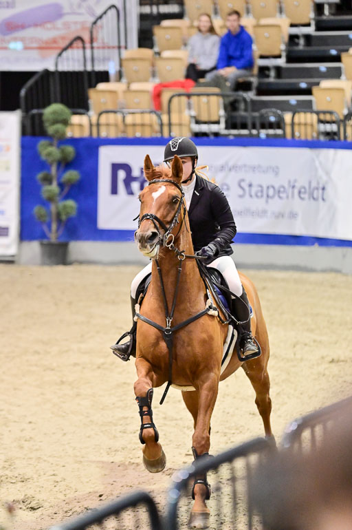  | Pfg 3 Bronze Grand Prix_101 