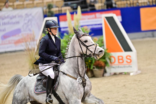  | Pfg 3 Bronze Grand Prix_132 