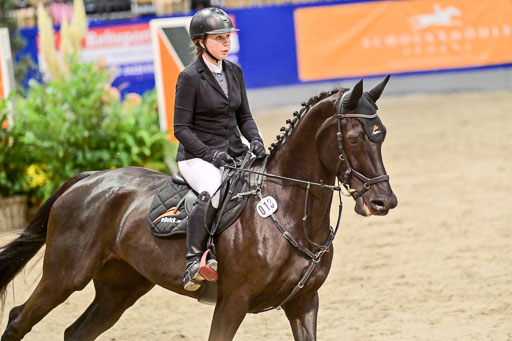  | Pfg 3 Bronze Grand Prix_211 