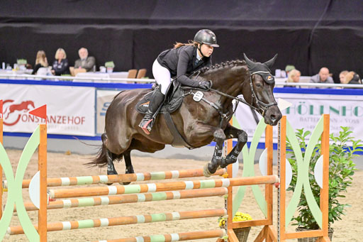  | Pfg 3 Bronze Grand Prix_219 