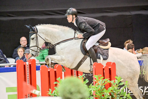  | Pfg 3 Bronze Grand Prix_246 