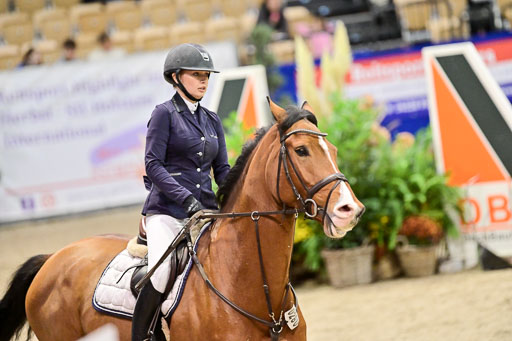  | Pfg 3 Bronze Grand Prix_250 