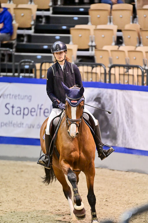  | Pfg 3 Bronze Grand Prix_282 