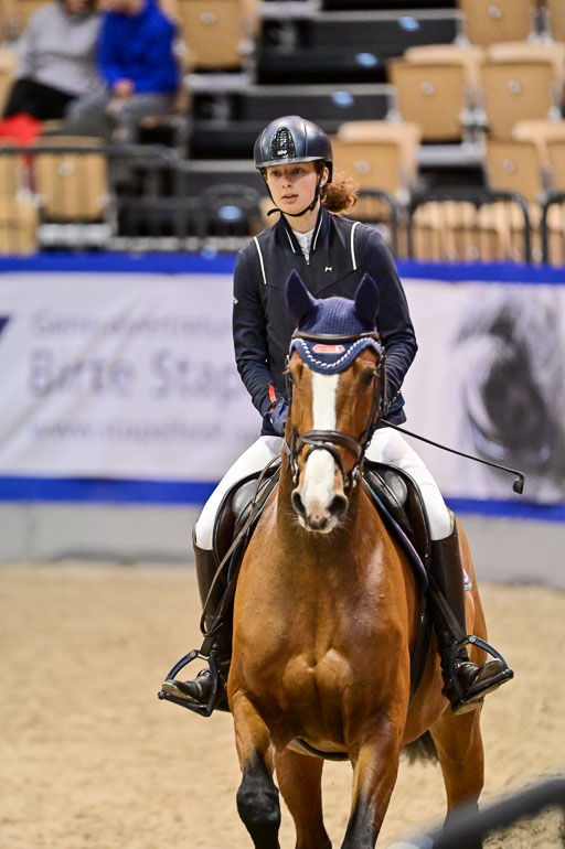 Pfg 3 Bronze Grand Prix
