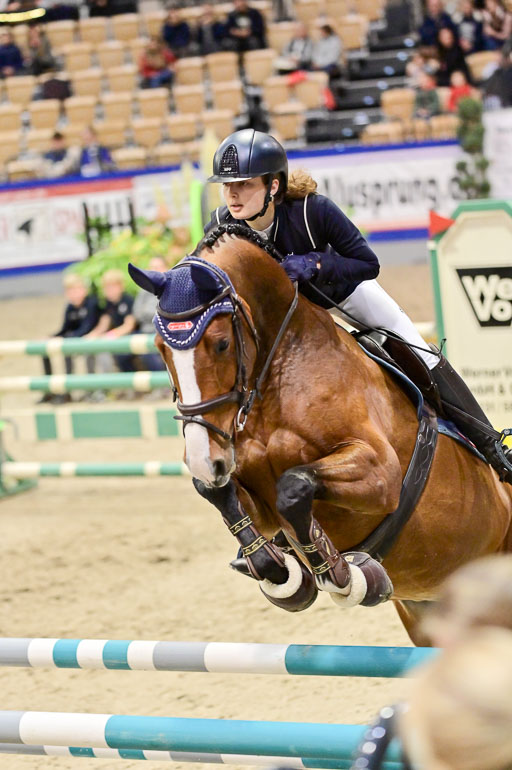  | Pfg 3 Bronze Grand Prix_284 