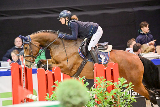  | Pfg 3 Bronze Grand Prix_289 