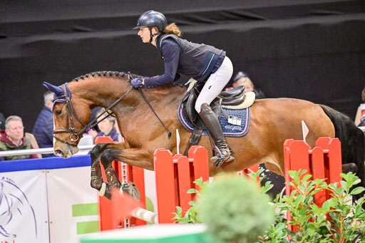  | Pfg 3 Bronze Grand Prix_290 