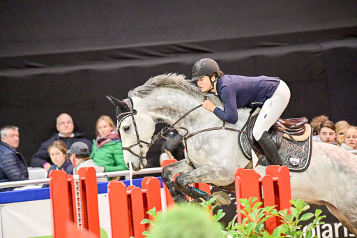  | Pfg 3 Bronze Grand Prix_302 