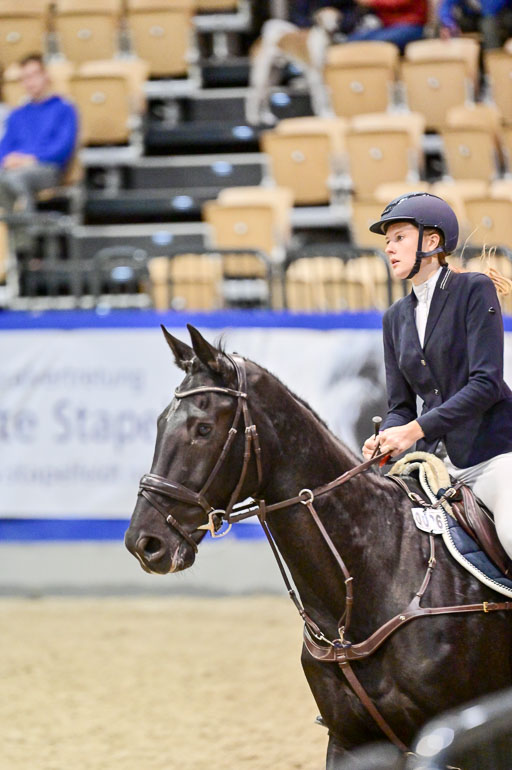  | Pfg 3 Bronze Grand Prix_308 