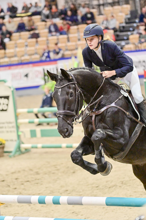  | Pfg 3 Bronze Grand Prix_312 