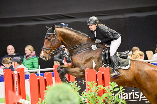  | Pfg 3 Bronze Grand Prix_324 