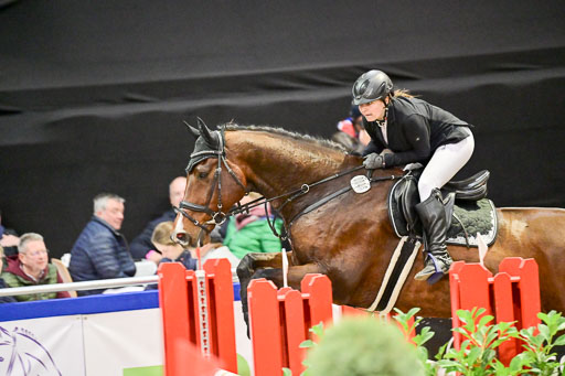  | Pfg 3 Bronze Grand Prix_325 