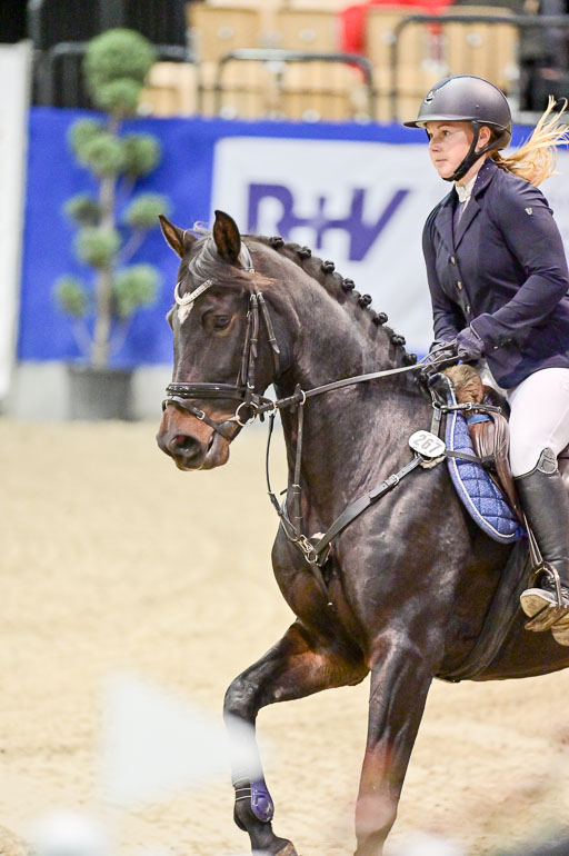  | Pfg 3 Bronze Grand Prix_331 