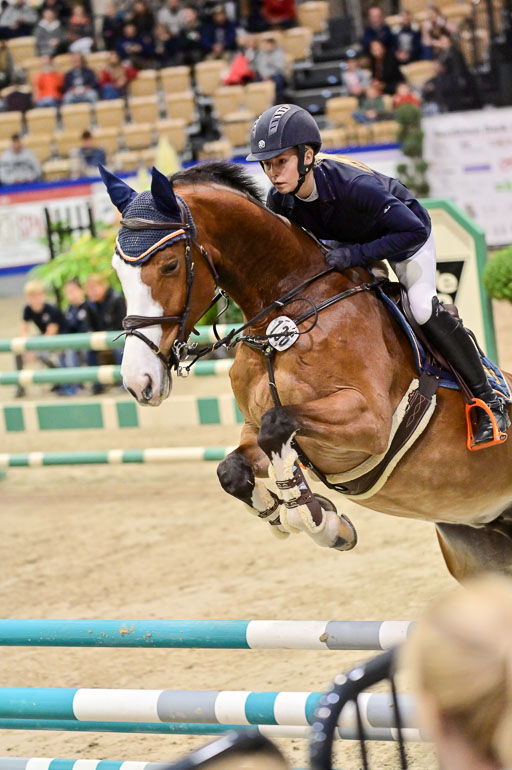  | Pfg 3 Bronze Grand Prix_350 