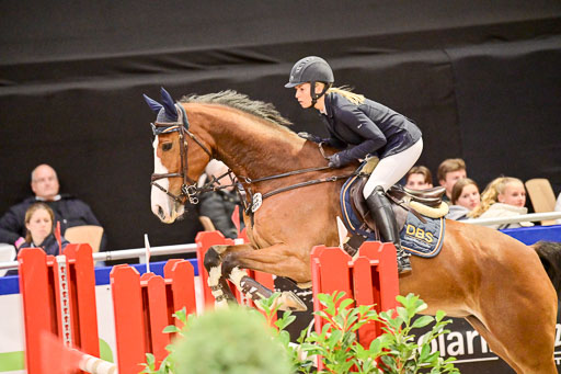  | Pfg 3 Bronze Grand Prix_355 