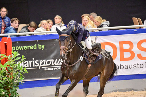  | Pfg 3 Bronze Grand Prix_379 