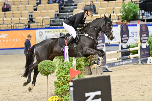  | Pfg 3 Bronze Grand Prix_390 