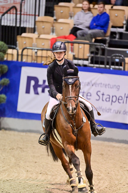  | Pfg 3 Bronze Grand Prix_396 