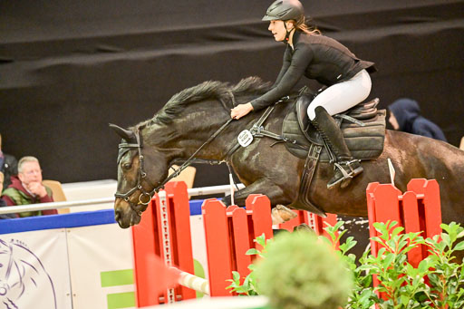  | Pfg 3 Bronze Grand Prix_418 