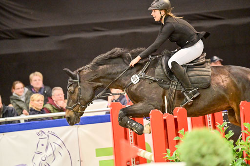  | Pfg 3 Bronze Grand Prix_419 