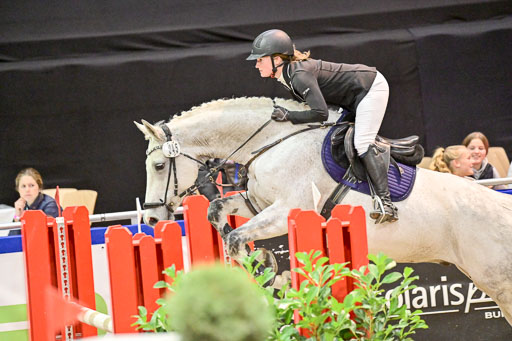  | Pfg 3 Bronze Grand Prix_439 