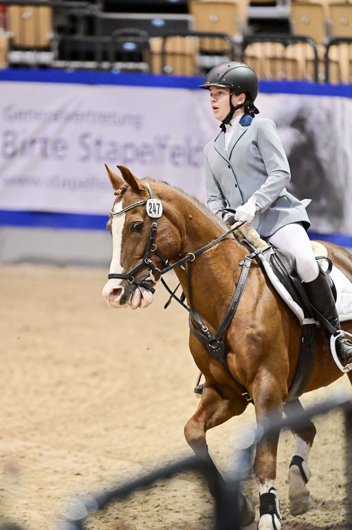  | Pfg 3 Bronze Grand Prix_443 