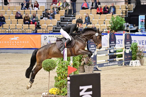  | Pfg 3 Bronze Grand Prix_461 