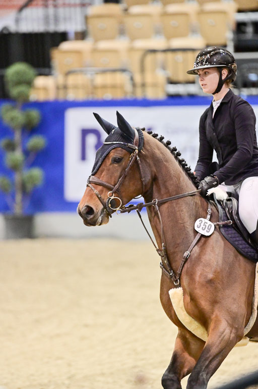  | Pfg 3 Bronze Grand Prix_463 