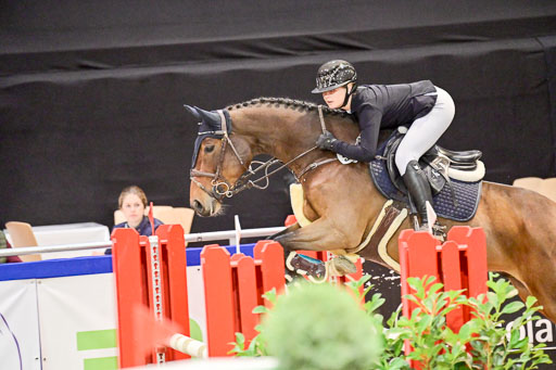  | Pfg 3 Bronze Grand Prix_471 