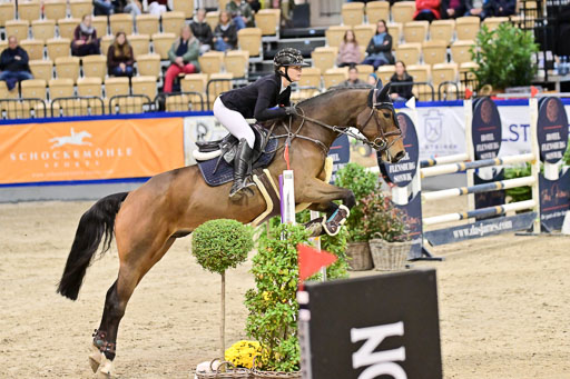  | Pfg 3 Bronze Grand Prix_473 